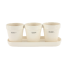 flower pot with saucer